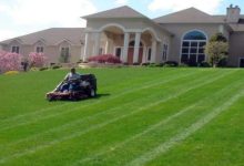 Benefits Of Hiring Landscaping Services For Modern Homes