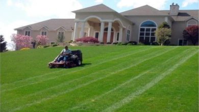 Benefits Of Hiring Landscaping Services For Modern Homes